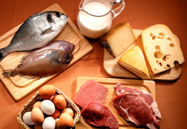 proteinas_metabolismo.sossolteiros