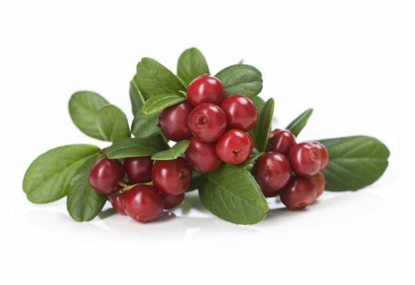 Cranberry - Foto Getty Images