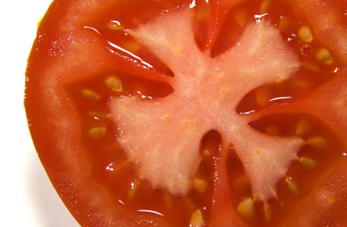 Tomate